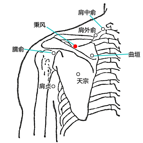 秉风