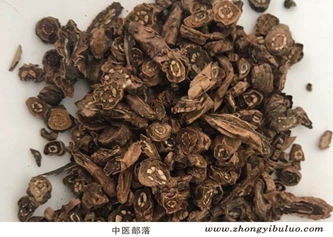 胡黄连 - 图片2