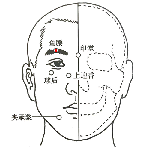 鱼腰