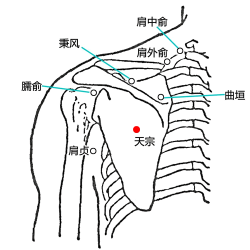 天宗