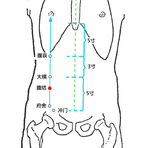腹结