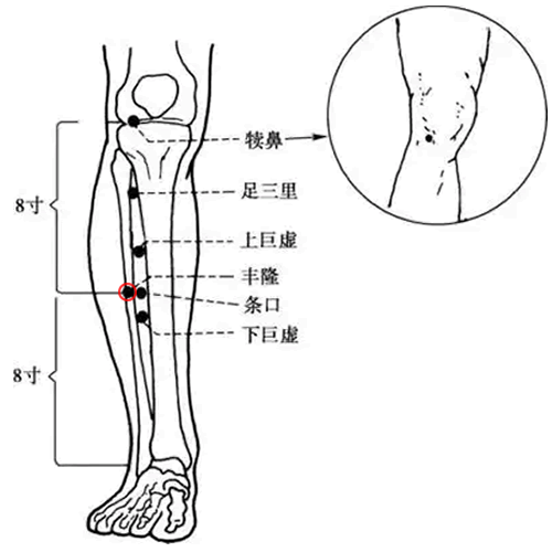 丰隆