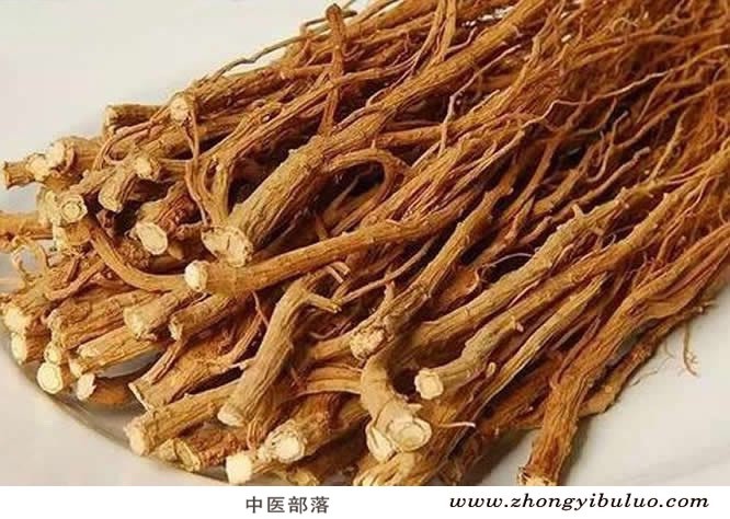 柴胡 - 图片2