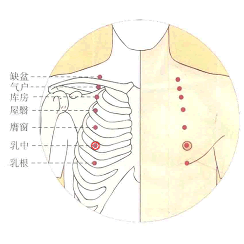 乳中