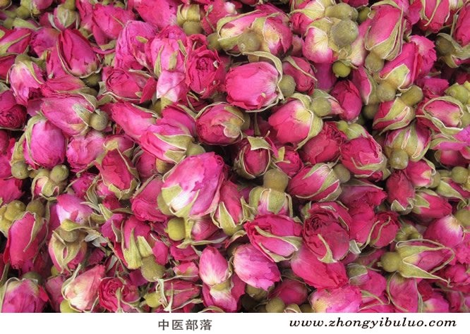 玫瑰花 - 图片2