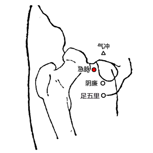 急脉