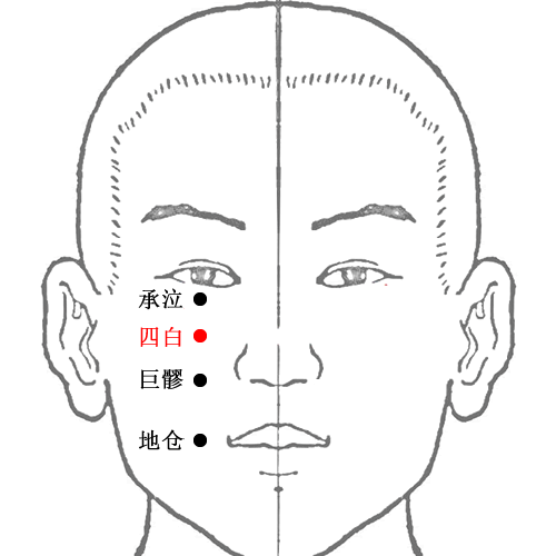 四白