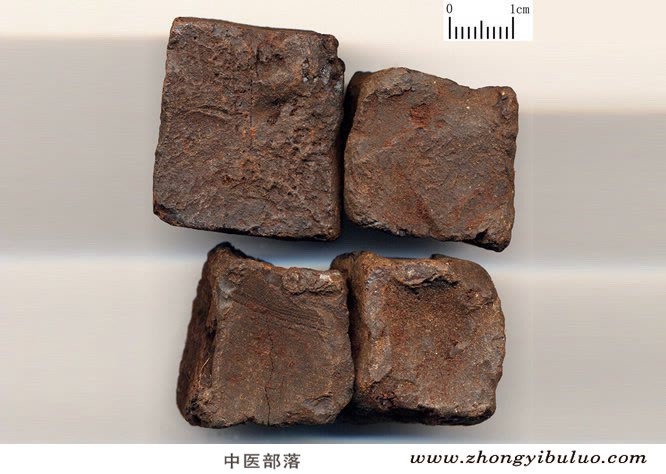 儿茶 - 图片2