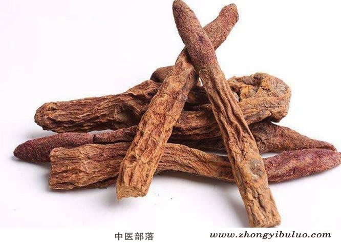 肉苁蓉 - 图片2