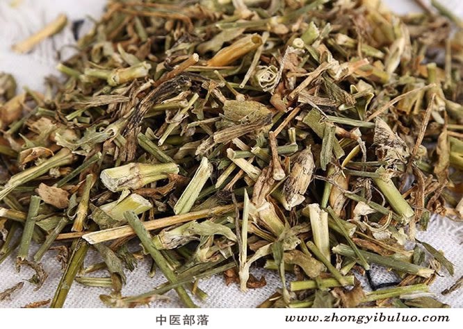 瞿麦 - 图片2