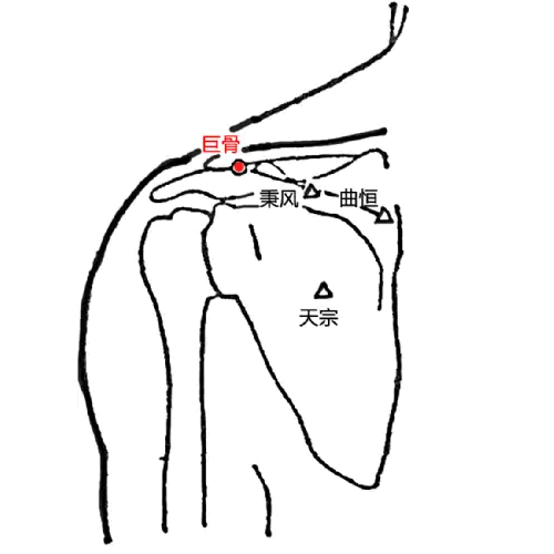 巨骨
