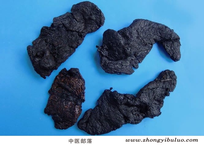 熟地黄 - 图片2