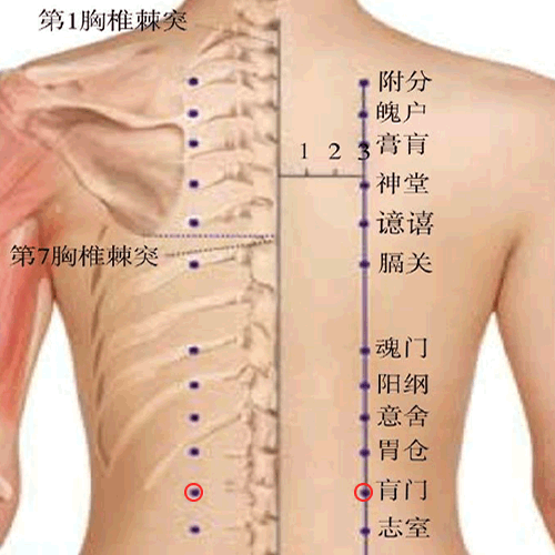 肓门