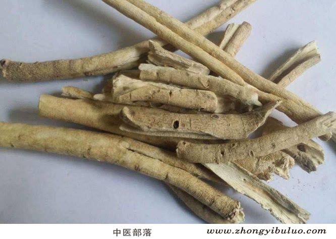 白鲜皮 - 图片2