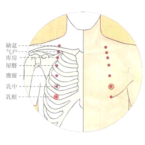 乳根