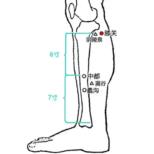 膝关