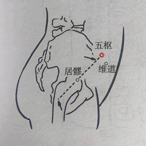 五枢
