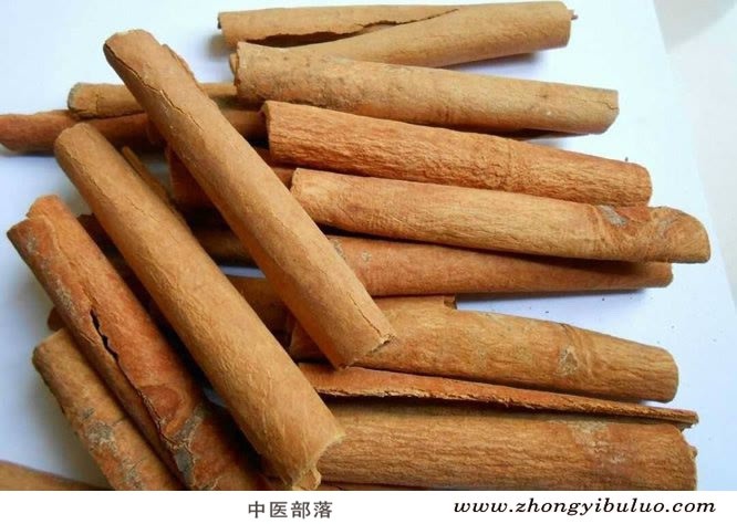 肉桂 - 图片2