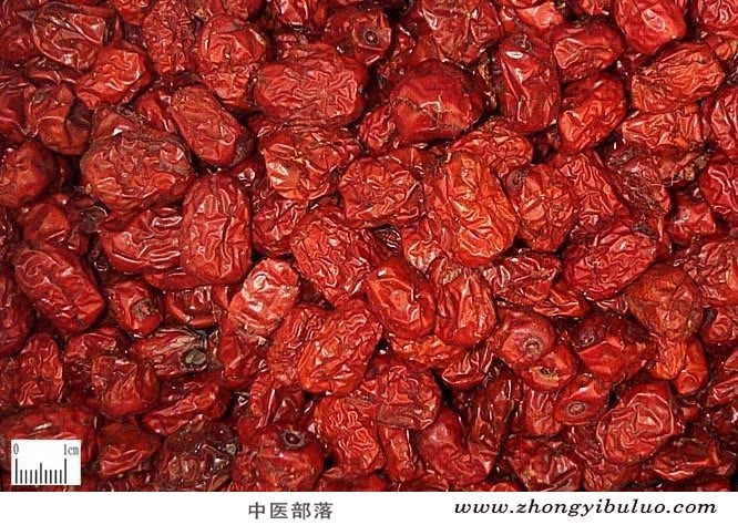 大枣 - 图片2