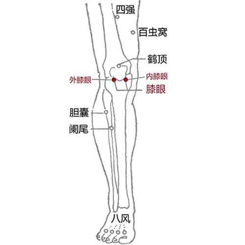 内膝眼