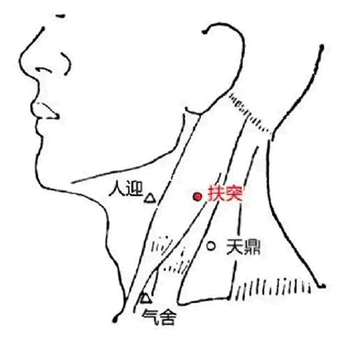 扶突