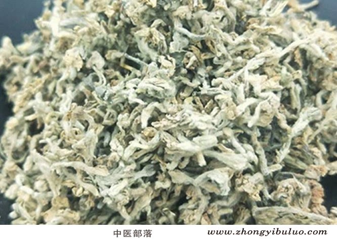 芫花 - 图片2