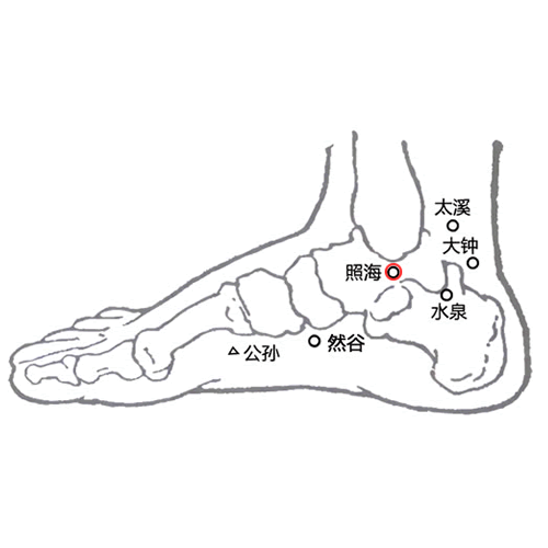 照海