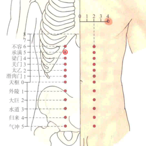 承满