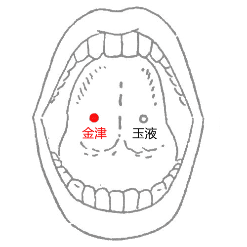金津、玉液