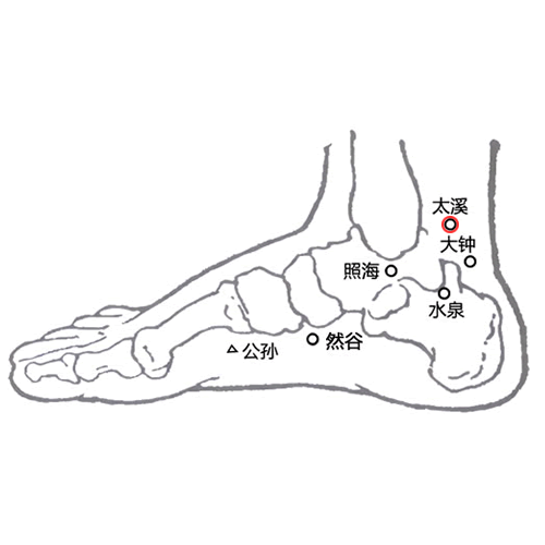 太溪