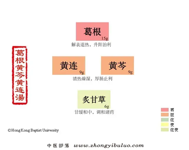 葛根黄芩黄连汤 - 图片1