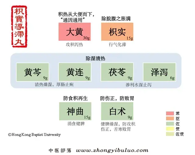 枳实导滞丸 - 图片1