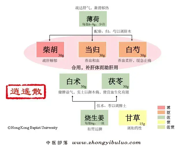 逍遥散 - 图片1
