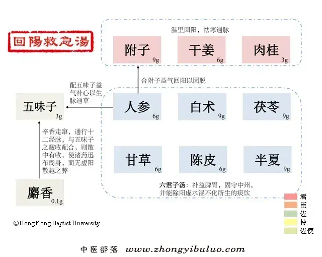 回阳救急汤 - 图片1