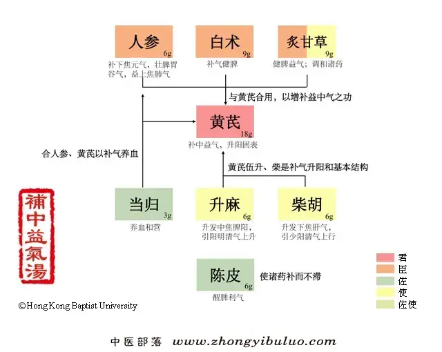 补中益气汤 - 图片1