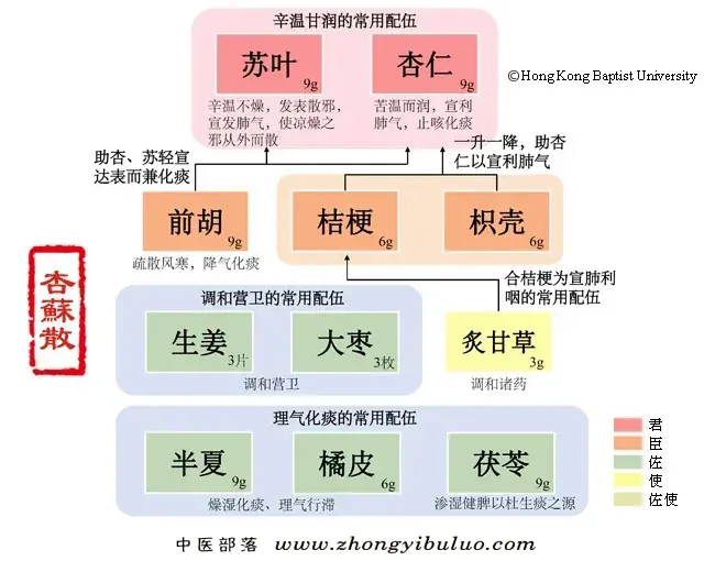 杏苏散 - 图片1