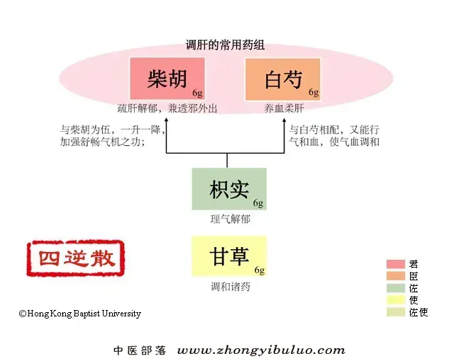 四逆散 - 图片1