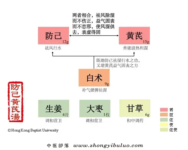 防己黄芪汤 - 图片1