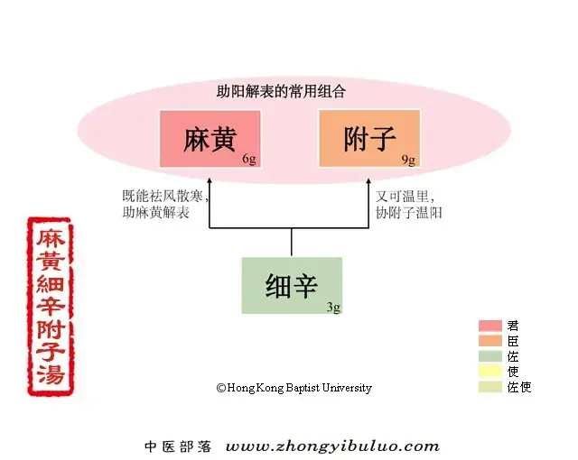 麻黄附子细辛汤