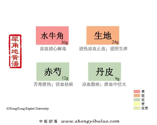 犀角地黄汤 - 图片1