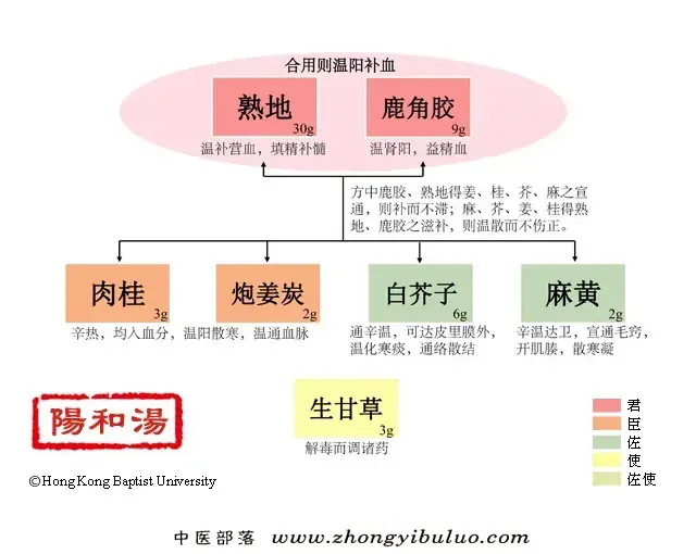 阳和汤 - 图片1