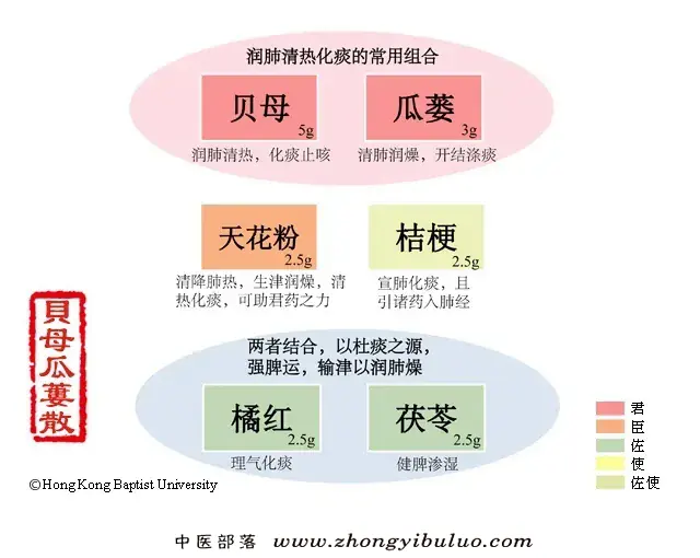 贝母瓜蒌散 - 图片1