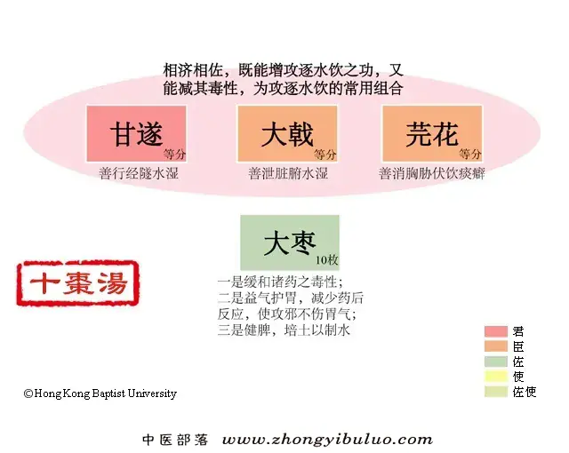 十枣汤 - 图片1