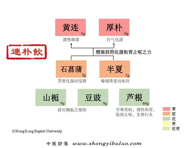 连朴饮 - 图片1
