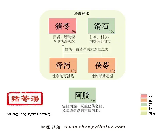 猪苓汤 - 图片1