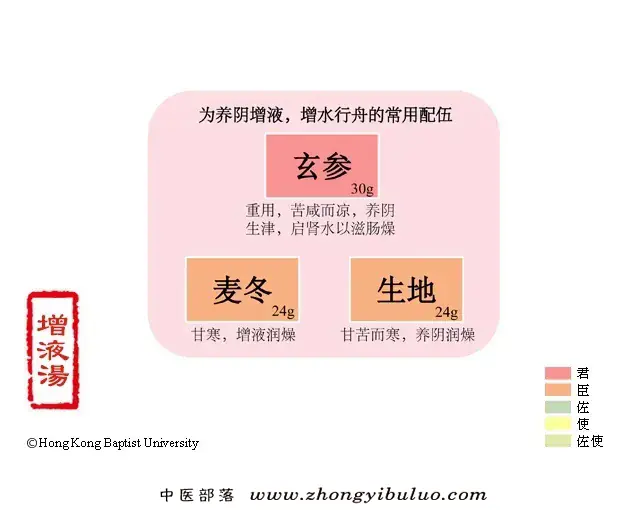 增液汤 - 图片1