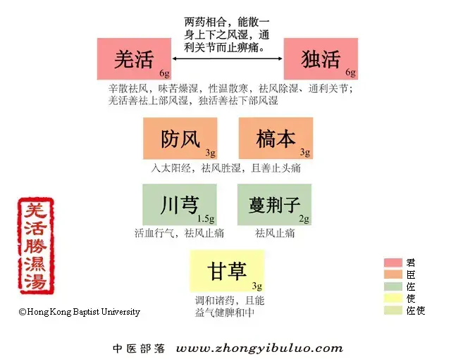 羌活胜湿汤 - 图片1