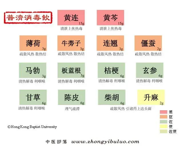 普济消毒饮 - 图片1