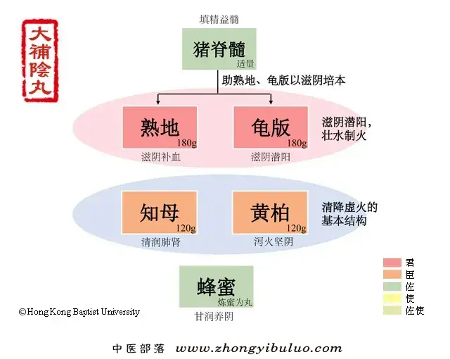 大补阴丸 - 图片1