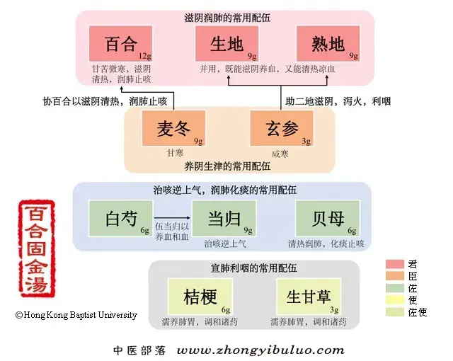 百合固金汤 - 图片1